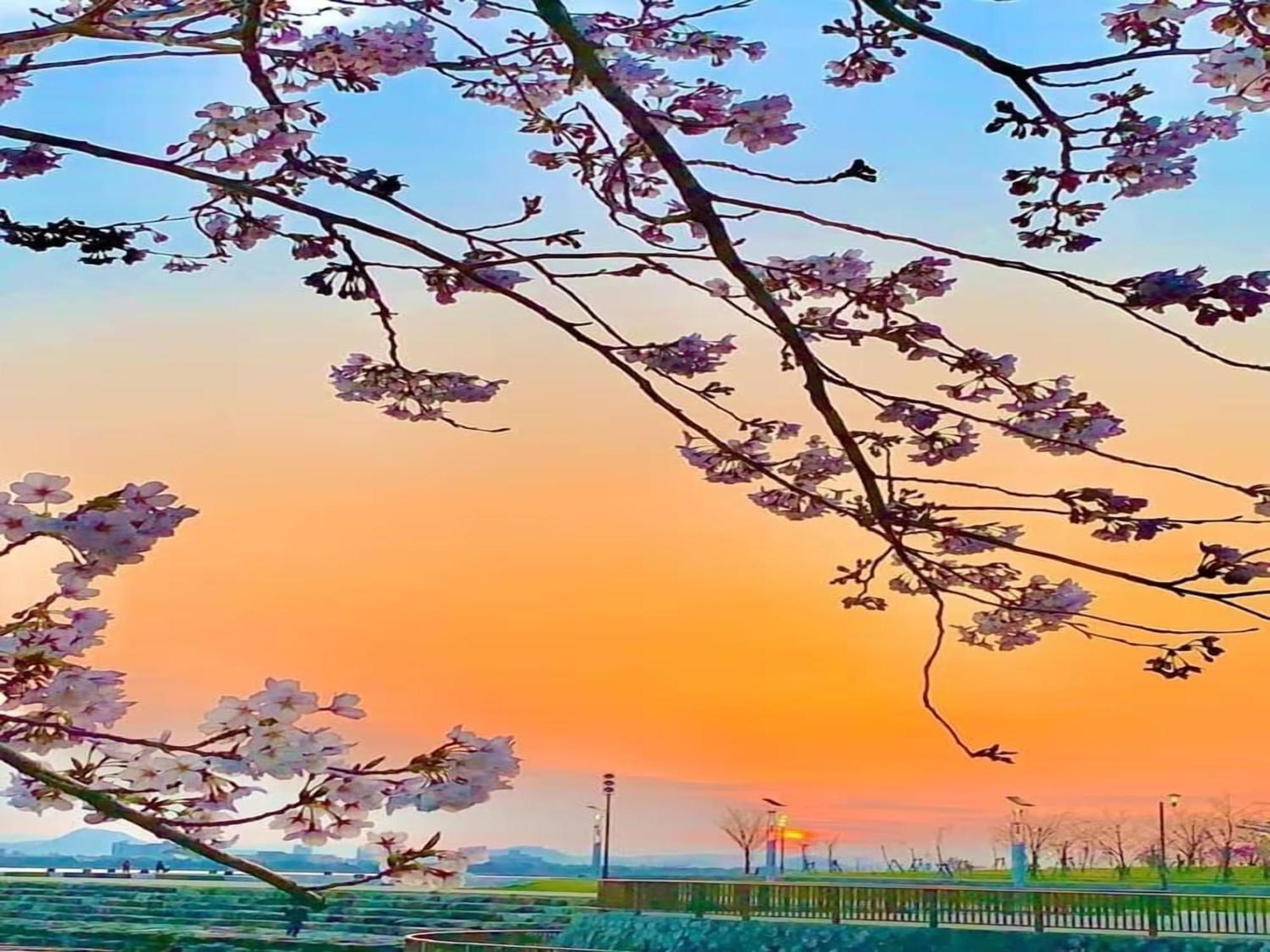 Lake Biwa Otsu Prince Hotel מראה חיצוני תמונה